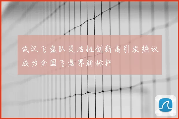 武汉飞盘队灵活性创新高引发热议成为全国飞盘界新标杆