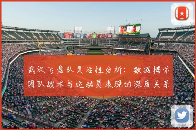武汉飞盘队灵活性分析：数据揭示团队战术与运动员表现的深度关系
