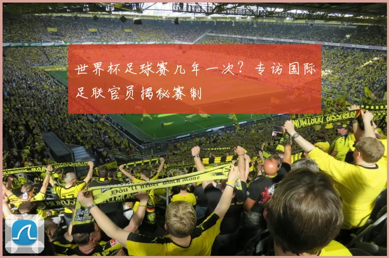 世界杯足球赛几年一次?专访国际足联官员揭秘赛制