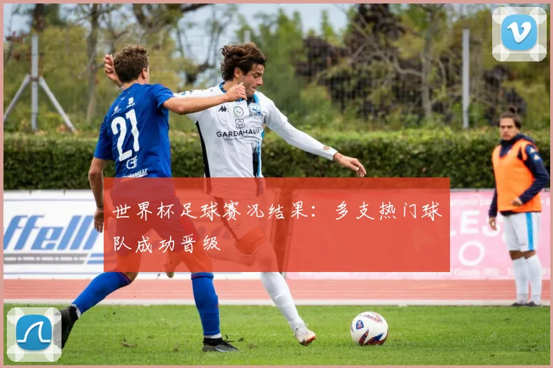 世界杯足球赛况结果：多支热门球队成功晋级