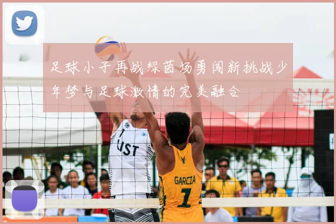 足球小子再战绿茵场勇闯新挑战少年梦与足球激情的完美融合