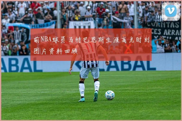 前NBA球员马特巴恩斯生涯高光时刻图片资料回顾