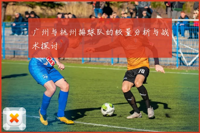 广州与杭州排球队的较量分析与战术探讨