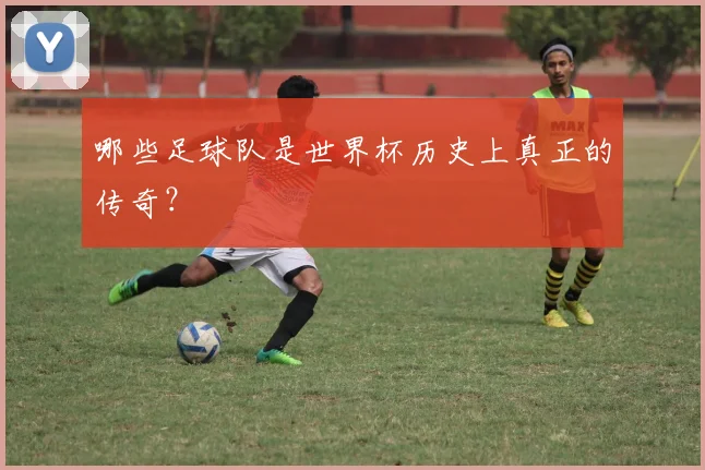 哪些足球队是世界杯历史上真正的传奇？
