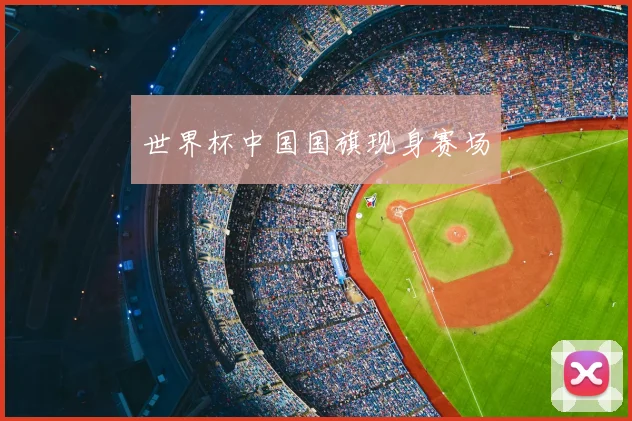 世界杯中国国旗现身赛场