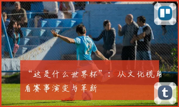 “这是什么世界杯”:从文化视角看赛事演变与革新