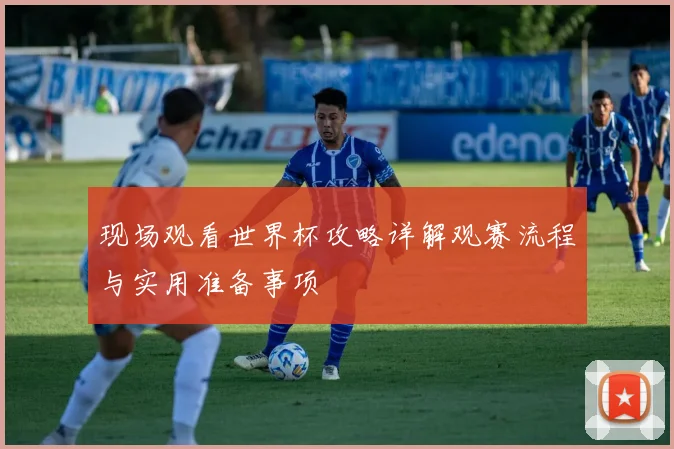 现场观看世界杯攻略详解观赛流程与实用准备事项