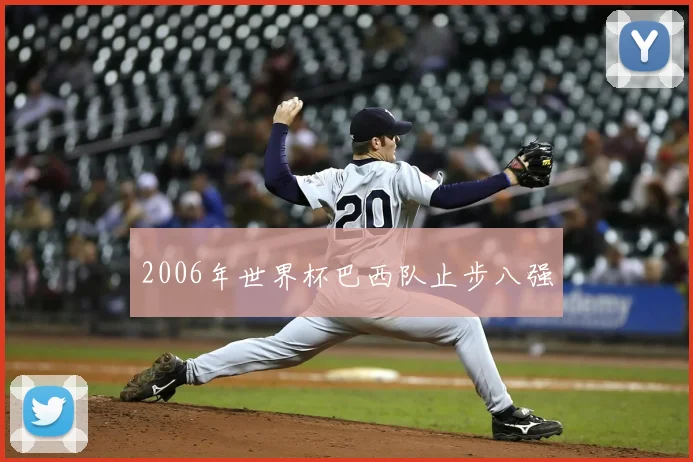 2006年世界杯巴西队止步八强