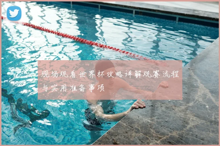现场观看世界杯攻略详解观赛流程与实用准备事项