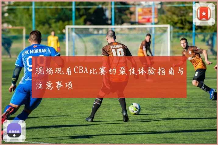 现场观看CBA比赛的最佳体验指南与注意事项