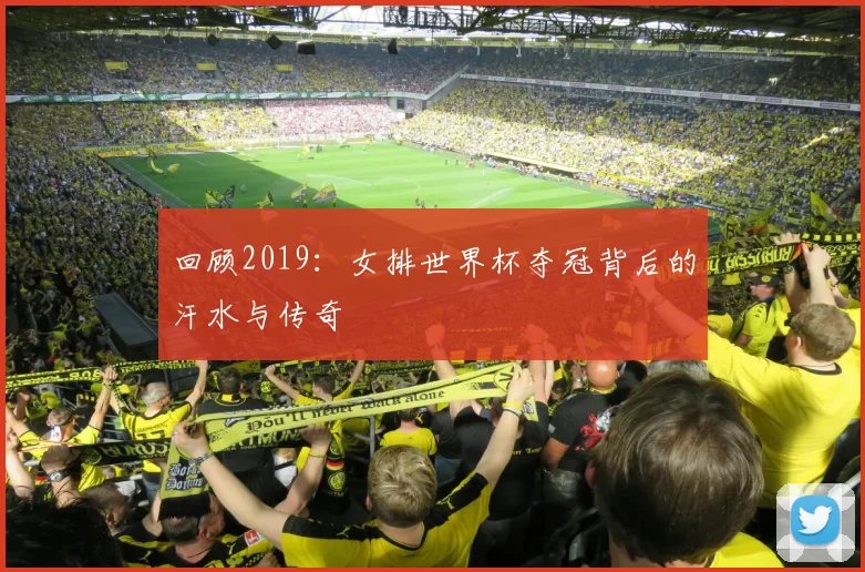 回顾2019:女排世界杯夺冠背后的汗水与传奇